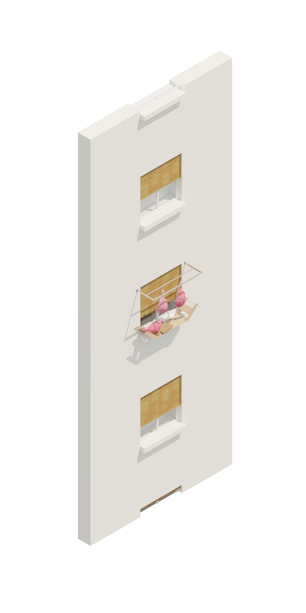 43_sechoir à jambon